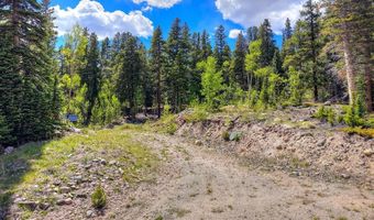253 Mine Dump Rd Lot 31, Alma, CO 80440