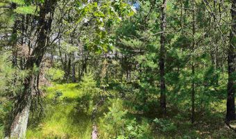 5 6 Acres 16th Ave Lot 3, Arkdale, WI 54613