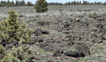 Oregon Pines Road TL 1200, Beatty, OR 97621
