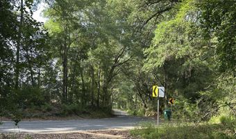 80 AC Old River Rd, Baker, FL 32531