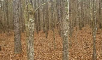 0 WOOD Ln 1, Ashville, AL 35953