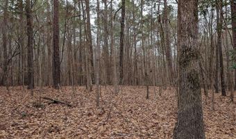 Lots B & C Miller Road, Camden, SC 29020