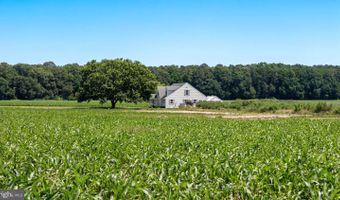7543 BOZMAN NEAVITT Rd, Bozman, MD 21612