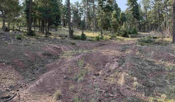 Luna lot 1581, Angel Fire, NM 87710