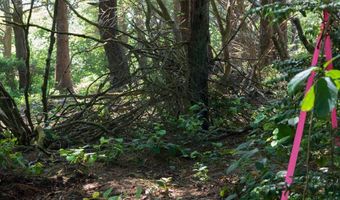 88677 WHITING Ln, Bandon, OR 97411