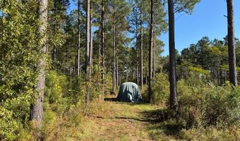 TBD Binnicker Bridge Road, Bamberg, SC 29003