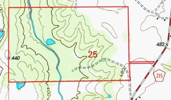 447 County Road 215, Abbeville, MS 38601