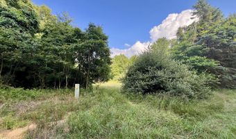 1143 38th St, Allegan, MI 49010