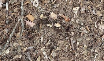 34655 Co Rd 49, Beaverton, AL 35544