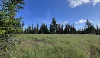 NW LODGE Rd, Banks, OR 97106