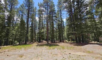37 Enchanted Forest Dr, Bayfield, CO 81122