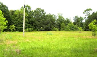 1071 LR 3, Ashdown, AR 71822
