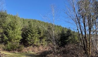 Steer Creek Rd, Blodgett, OR 97326
