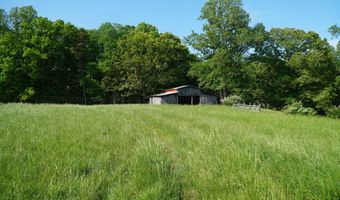 339 MCNUTT Rd, Bear Creek, AL 35543