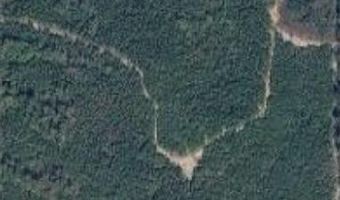Forestry Rd 356, Beaumont, MS 39423