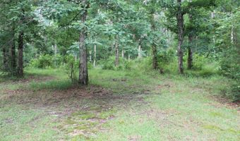 429 River Road Dr, Bogue Chitto, MS 39629