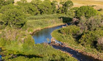 84 Bow Fiddle Ranch Rd, Centennial, WY 82070