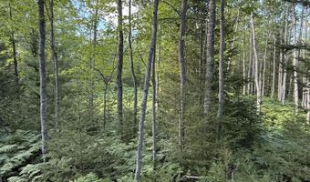 50 Acres Herron Rd, Alpena, MI 49707