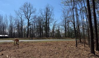 MOUNTAIN CUT RD lot C, Appomattox, VA 24522