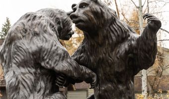 30 Bear Dance Vlg, Bigfork, MT 59911