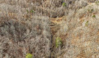 9999 Honeycutt Branch Turkey Crk, Barbourville, KY 40906