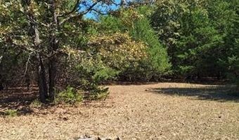 County Road 3665, Allen, OK 74825