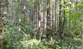 Nowakowski Rd, Banks, OR 97106