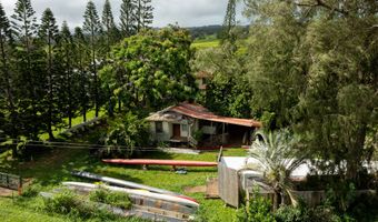 55-546 HUALUA Rd, Hawi, HI 96719