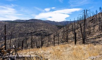 3600 Moondance Way, Bellvue, CO 80512