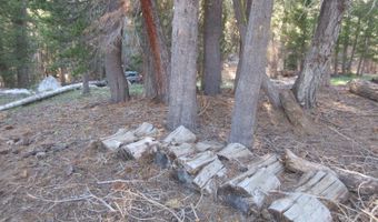 175 Silver Tip Dr, Bear Valley, CA 95223