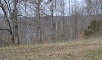 Fox Hill Road lot 4 & 5, Baxter, TN 38544