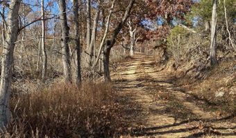 000 Tbd County Rd T-541, Ava, MO 65608