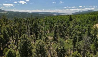 97 Zia Rd, Angel Fire, NM 87710