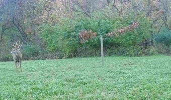 560 Th Ave, Albia, IA 52531