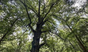 Pine Lodge Road, Batesville, MS 38606