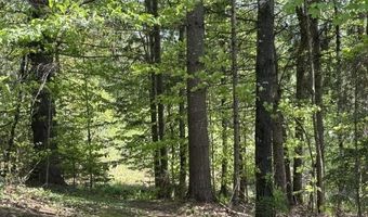 Gold Coast Road, Bridgewater, VT 05034