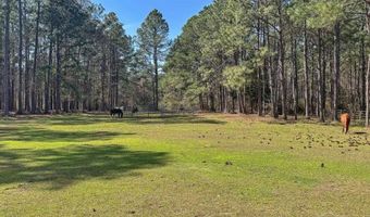 1471 Hwy C-180, Baker, FL 32531