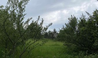 Parcel A Cemetery Road, Alden, MI 49612