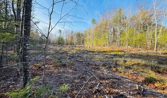 Lot 77 Homestead Lane, Barrington, NH 03825