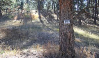 Valley Road lot 41, Angel Fire, NM 87710