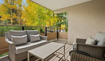 980 E Hyman Avenue 3, Aspen, CO 81611