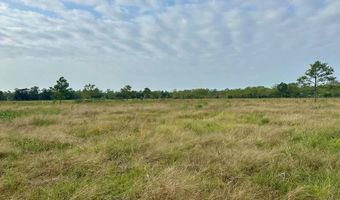 6742 Eagle Rd, Anahuac, TX 77514