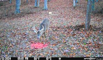 Chase Rd, Athens, OH 45701