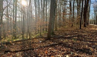 Muddy Ridge Rd, Adams, KY 41201