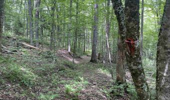 101 Jug Brook Rd, Cabot, VT 05647