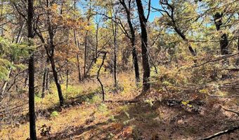 10 Acres County Road C, Arkdale, WI 54613