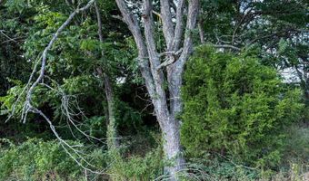 Co Rd 539, Ava, MO 65629