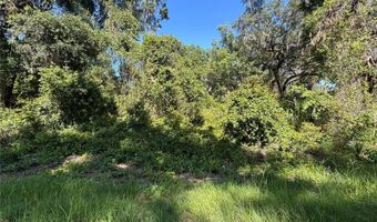 14155 NE 47TH Ave, Anthony, FL 32617