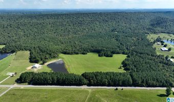 6150 SHOAL CREEK Rd 124+/- Acres, Ashville, AL 35953