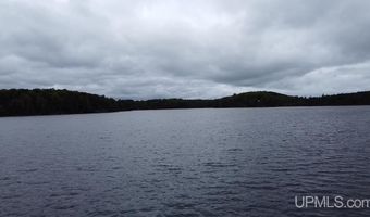 161 Porter Lk, Amasa, MI 49903